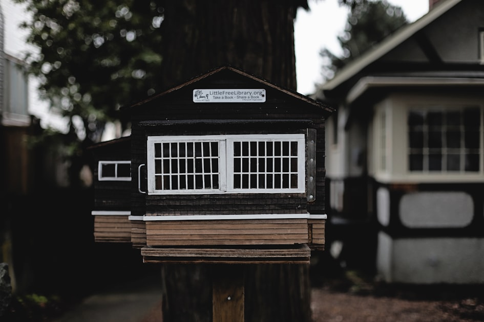 Community Support for Literacy through QPEF